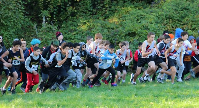 A large group of middle school boys lurches forward at the start of the 2018 Cipriano Memorial Cross Country Meet.