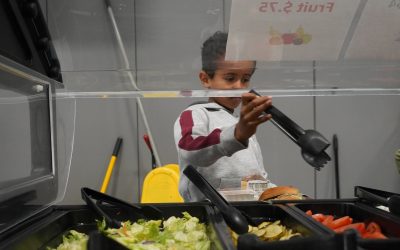 Wellness committee meetings planned