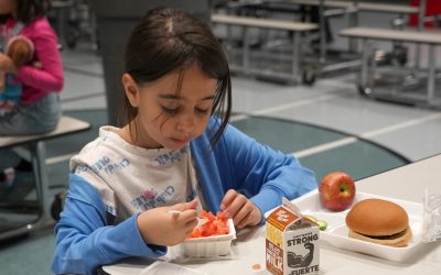 Free summer meals available for children